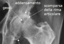Il geode. Scopriamo che cos’è?