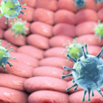 Che cosa si sa sul papillomavirus tagmedicina,papillomavirus