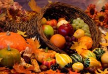 Cambio di stagione: cosa mangiare in autunno per restare in salute e ritrovare una forma perfetta tagmedicin,autunno