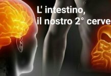 L’intestino, un secondo cervello che agisce,ricorda,decide ed è fonte di felicità (1ma Parte). tagmedicina,intestino
