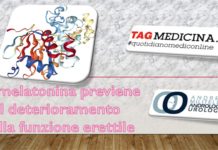 La melatonina previene il deterioramento della funzione erettile #tagmedicina,melatonina