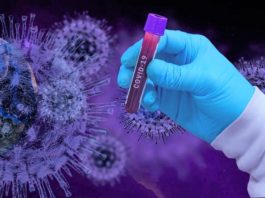 Covid-19, il virus può colpire due volte. Ecco le prove tagmedicina,virus