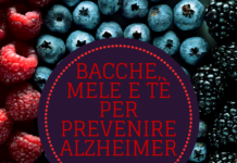 Alzheimer: mirtilli, mele e tè hanno un effetto protettivo #tagmedicina,mirtilli