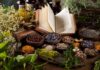 Piante medicinali: specie a rischio? tagmedicina,Piante