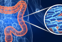 Microbiota intestinale: un ruolo centrale nella salute tagmedicina,intestinale