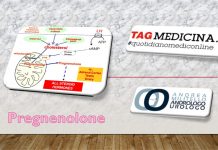 Pregnenolone, l’antiaging cerebrale per eccellenza. tagmedicina, pregnenolone