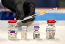 Covid-19, quanto dura la protezione del vaccino. Uno studio fa il punto sulla risposta immunitaria tagmedicina,vaccino