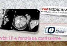 Infezione da Covid , funzione testicolare e tempi di recupero tagmedicina, testicolare