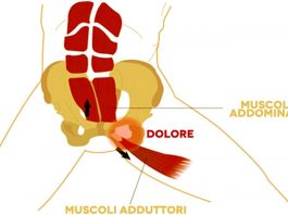 Pubalgia, sintomi cause e cure terapeutiche tagmedicina,Pubalgia