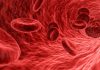 Malattie del sangue, scoperto un nuovo gruppo sanguigno. Lo studio inglese tagmedicina,gruppo