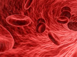 Malattie del sangue, scoperto un nuovo gruppo sanguigno. Lo studio inglese tagmedicina,gruppo