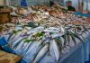 Il pesce oltre ad essere povero di grassi contiene le lipoproteine HDL che puliscono le arterie. Il fattore più importante relativo ai prodotti della pesca è sicuramente la freschezza. tagmedicina,pesce