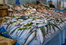 Il pesce oltre ad essere povero di grassi contiene le lipoproteine HDL che puliscono le arterie. Il fattore più importante relativo ai prodotti della pesca è sicuramente la freschezza. tagmedicina,pesce