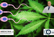 Uso di cannabis e fertilità maschile