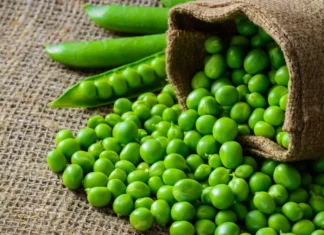 Piselli, un legume meno conosciuto come tale,ma altrettanto fondamentale per una alimentazione equilibrata