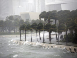 LA SOCIETA’ DELLE CATASTROFI, QUALI SCENARI CI ASPETTANO?
