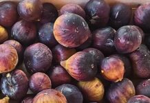 Fichi a buccia scura: il frutto di fine estate ricco di antiossidanti
