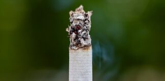 Fumo passivo, un terzo della popolazione mondiale è ancora esposto