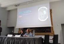 Trauma Cranico: l’”Epidemia Silenziosa” e i Protocolli di Urgenza.Dalla diagnosi tempestiva alla riabilitazione: il punto sulle linee guida internazionali e sul ruolo chiave di TC e Risonanza Magnetica, uno degli argomenti fulcro delle Giornate Beneventane di Neurochirurgia.